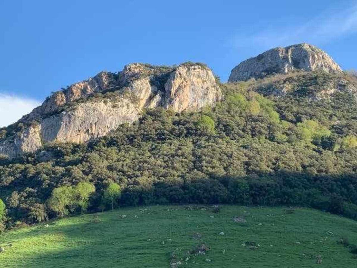 Apartment Cumbres De Picos Abedules